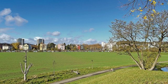 Die Landwirtschaft und die Bauernbetriebe der Stadt Winterthur werden zur Zielscheibe von politischen Vorstössen.  