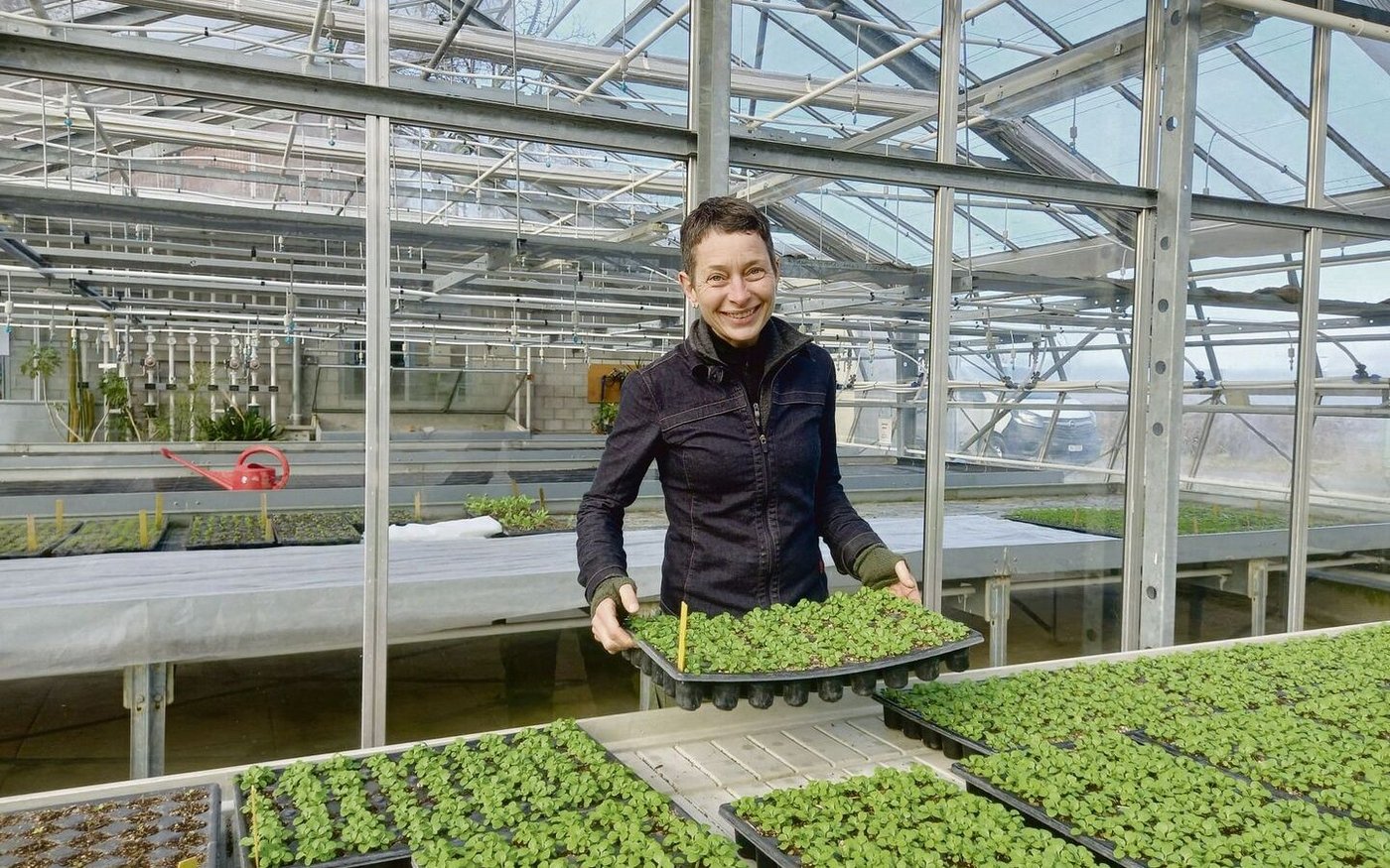 Noch sind die Setzlinge von Portulak und Nüssli klein, doch schon bald pflanzen Erika Oehler und ihre Klient(innen) sie ins Freiland. Die Gartenarbeit ist Teil der Therapie und spendet sowohl körperliche als auch psychische Kraft.