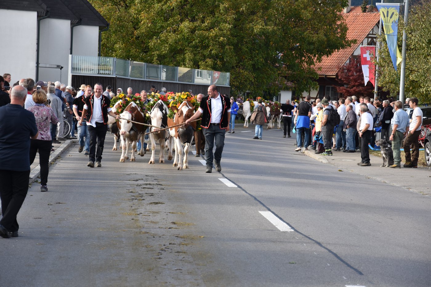 Die Heimkehr der Tiere zog viel Publikum an. (Bilder Peter Fankhauser)