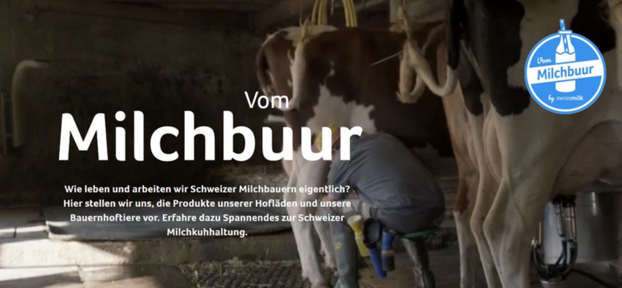 Die neue Milchbauer Plattform der Swissmilk. (Screenshot vommilchbuur.swissmilk.ch)