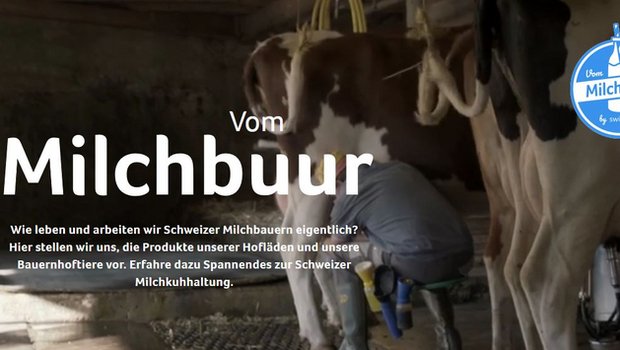 Die neue Milchbauer Plattform der Swissmilk. (Screenshot vommilchbuur.swissmilk.ch)
