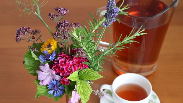 Alle diese Pflanzen eignen sich als Teekräuter: Gewürzfenchel, Dost, Rosmarin, Lavendel, Nelken, Korn- und Ringelblumen, Malven, Blätter von Himbeer und Brombeer.