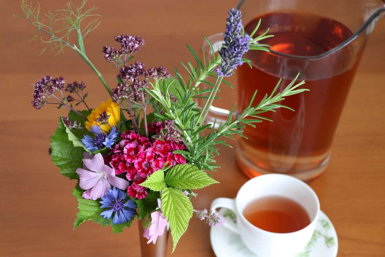 Alle diese Pflanzen eignen sich als Teekräuter: Gewürzfenchel, Dost, Rosmarin, Lavendel, Nelken, Korn- und Ringelblumen, Malven, Blätter von Himbeer und Brombeer.