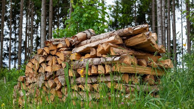 Schweizer Forstbetriebe haben 2019 weniger Einnahmen verbuchen können und schliessen zu einem grossen Teil mit einem Defizit ab. (Bild Pixabay)