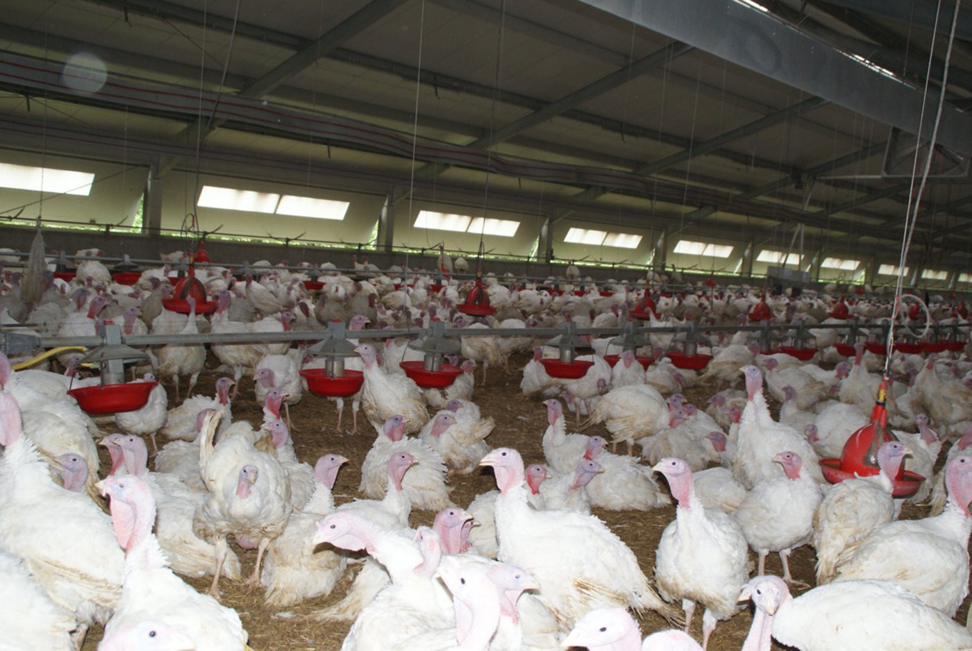 … mindestens einmal unangemeldet kontrolliert. 