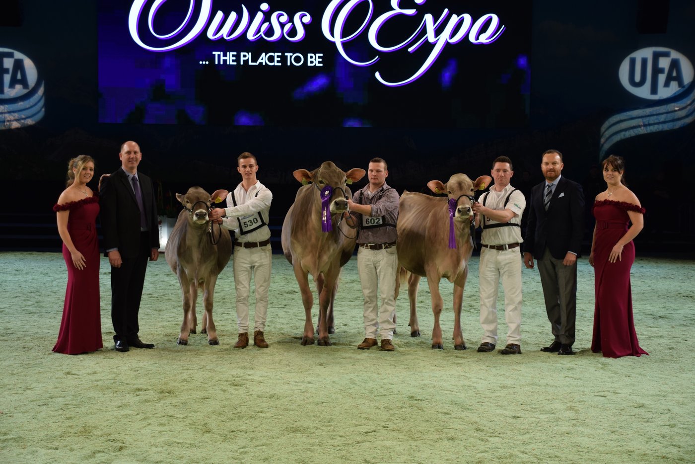 Rinder-Champion Champion (rechts): Moosschür Swiss Bavegna Muschel, Adrian Steinmann, Le Bémont Reserve-Champion (Mitte): Felder’s BS Norwin Noreen, Franz Felder, Marbach Mention (links): Bachmann’s BS Piero Perry, Gody Bachmann, Seewen
