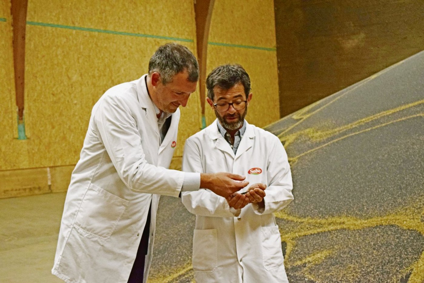 CEO Lorenzo Centonze begutachtet mit Abteilungsmanager Maurizio Taricco die Rapsernte 2020. Die beiden sind mit der Qualität der Saaten sehr zufrieden.  (Bild Stefanie Giger)