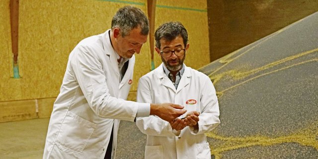 CEO Lorenzo Centonze begutachtet mit Abteilungsmanager Maurizio Taricco die Rapsernte 2020. Die beiden sind mit der Qualität der Saaten sehr zufrieden.  (Bild Stefanie Giger)