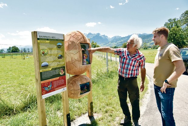 Hansjürg Hörler (links) von der Firma Naturnah ist der Erbauer des Baumnussweges in Frümsen. Rechts im Bild: Philipp Bernegger, Bio-Baumnussproduzent aus Sax. (Bild Heidy Beyeler)