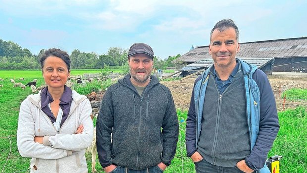 Riccarda Lüthi, Bruno Zähner und Daniel Mettler (v. l.) organisierten die Schafhirtentagung, die auf Zähners Hof in Illnau stattfand. 