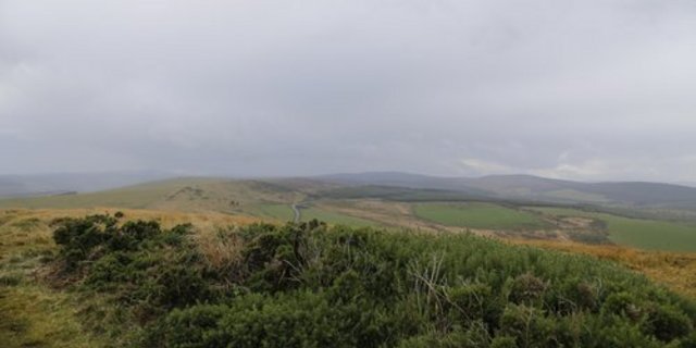 Feuchte Gebiete werden nicht zwangsläufig feuchter, sagt die ETHZ. (Bild: Jonas Ingold)