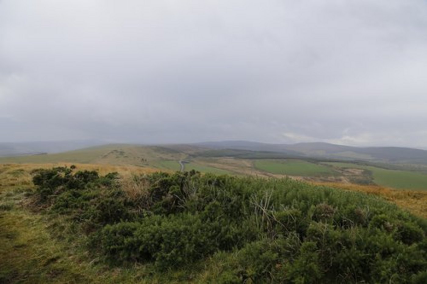 Feuchte Gebiete werden nicht zwangsläufig feuchter, sagt die ETHZ. (Bild: Jonas Ingold)