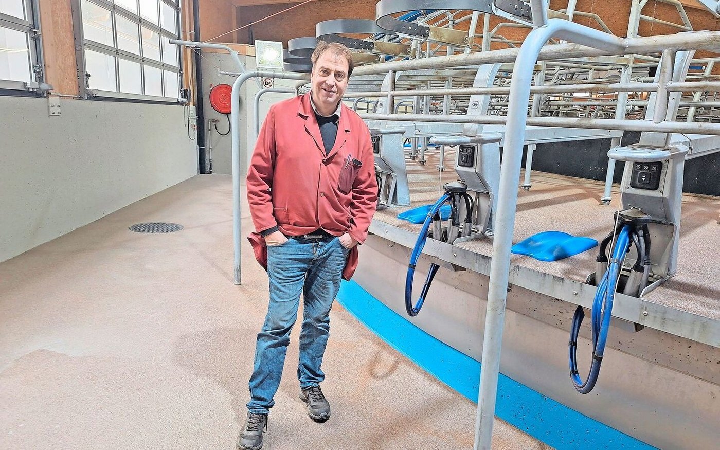 Laut Daniel Menoud sind die Kühe auf dem Karussell nicht gestresst. 