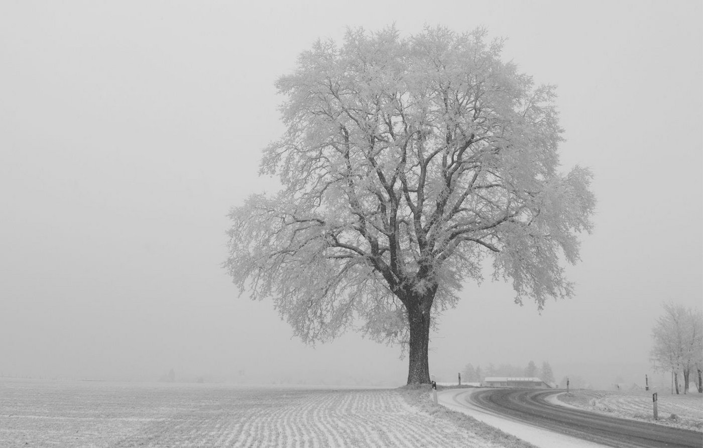 Pünktlich zum Beginn des meteorologischen Winters am 1. Dezember beendet den Meteorologen zufolge am Dienstag eine Kaltfront das herbstliche Hochnebelwetter. (Symbolbild caosweb/pixelio.de)