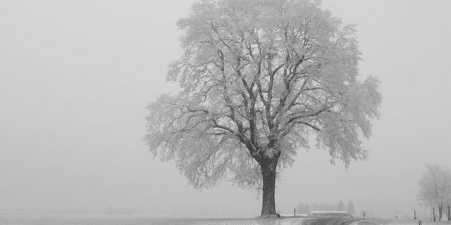 Pünktlich zum Beginn des meteorologischen Winters am 1. Dezember beendet den Meteorologen zufolge am Dienstag eine Kaltfront das herbstliche Hochnebelwetter. (Symbolbild caosweb/pixelio.de)