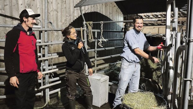 Mit dem Metzger Simon Stocker (r.) tötet Landwirt Michael Herzog (l.) seine Rinder selber. Dafür braucht er ein spezielles Fanggitter, welches es ermöglicht, das betäubte Tier zu befreien.