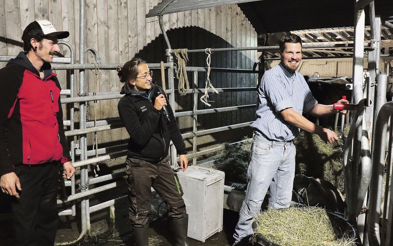 Mit dem Metzger Simon Stocker (r.) tötet Landwirt Michael Herzog (l.) seine Rinder selber. Dafür braucht er ein spezielles Fanggitter, welches es ermöglicht, das betäubte Tier zu befreien.