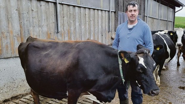 Beat Schürch und sei Beat Schürch und seine Narzisse, die erste «richtige» Kiwi-Cross, die der Meisterlandwirt gezüchtet hat.