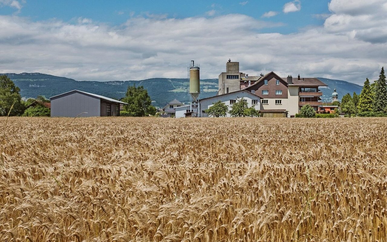 Die Kofmel-Mühle in Deitingen, in der vierten Generation im Besitz der Familie, wird heute von den Brüdern Christian und Daniel Kofmel geleitet. 