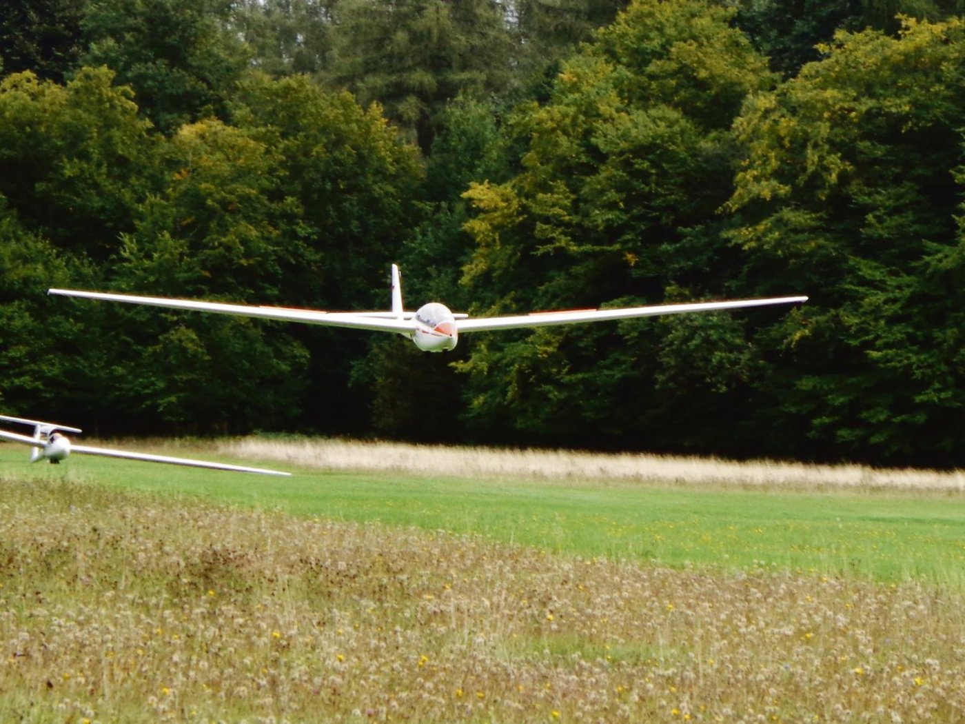 Modellflieger sind für die einen ein faszinierendes Hobby, für die anderen ein Ärgernis. Dass in Möhlin ein Flugplatz entstehen soll, stört zwei Pferdebetriebe in der Nähe. (Symbolbild Pixabay)