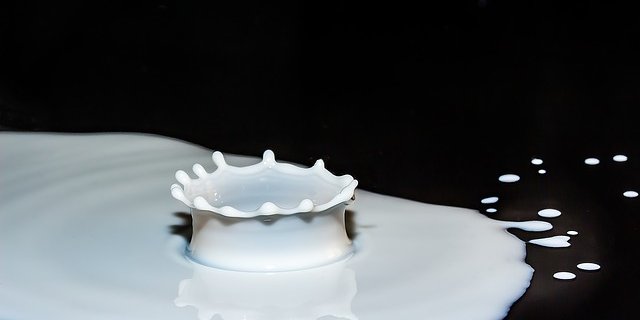 Eine Zunahme der Milchproduktion wird erwartet. (Bild Pixabay)