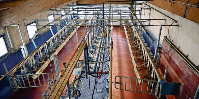 B-Milch erhält für die Produzenten ab Juli einen etwas besseren Preis und voraussichtlich mehr Verbindlichkeit bei der Ankündigung der Menge im Vormonat.(Bild jba)