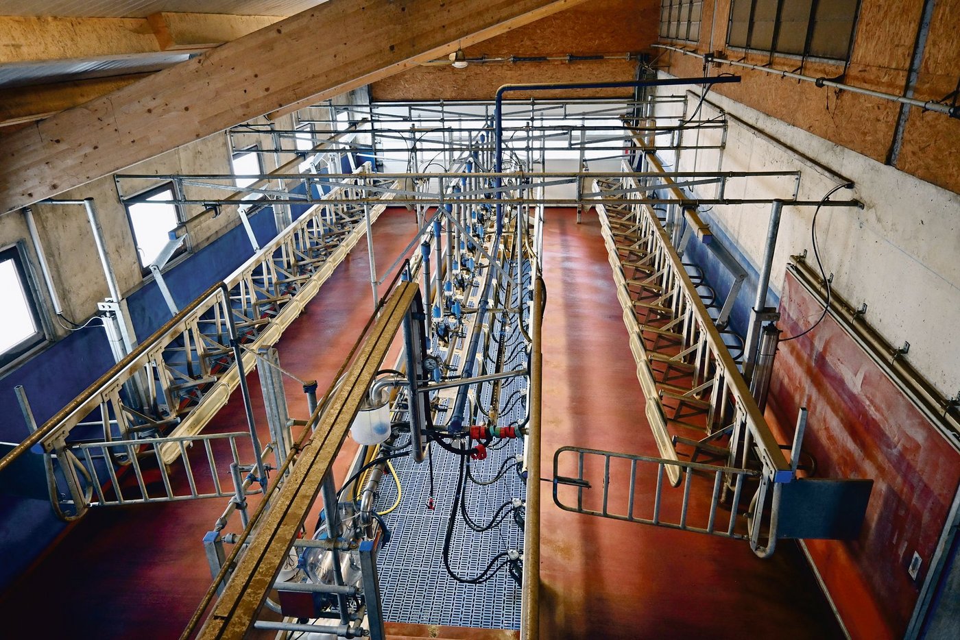 B-Milch erhält für die Produzenten ab Juli einen etwas besseren Preis und voraussichtlich mehr Verbindlichkeit bei der Ankündigung der Menge im Vormonat.(Bild jba)
