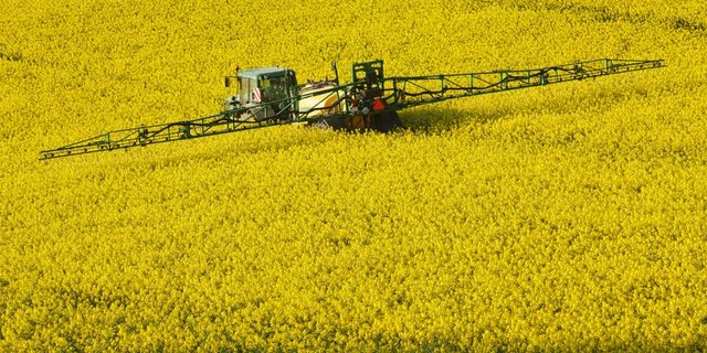 Im Bereich Pflanzenschutz konnte Syngenta ein Umsatzplus verzeichnen. (Bild BauZ)