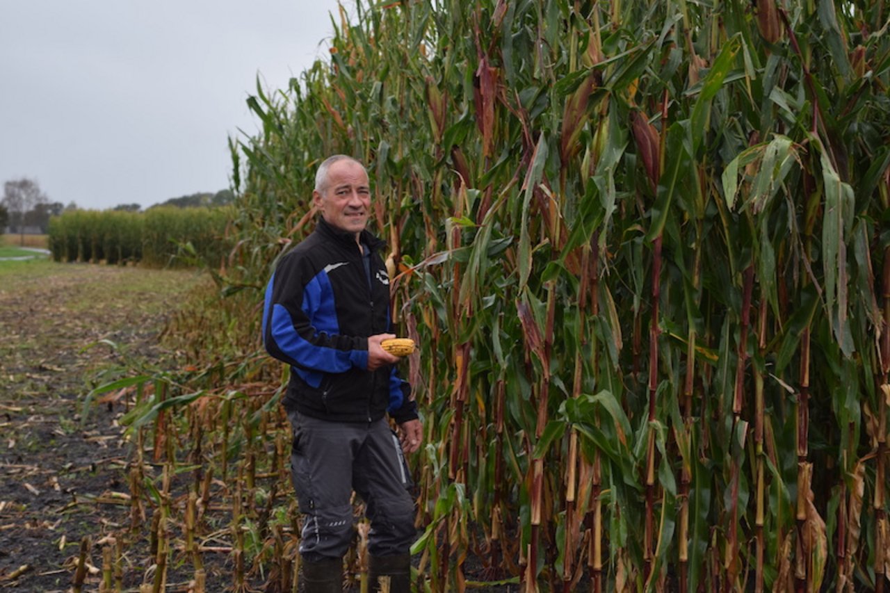 Jörg Geiger darf 2021 kein Mais auf Flächen anbauen, auf denen schon 2020 Mais wuchs. (Bild sgi)