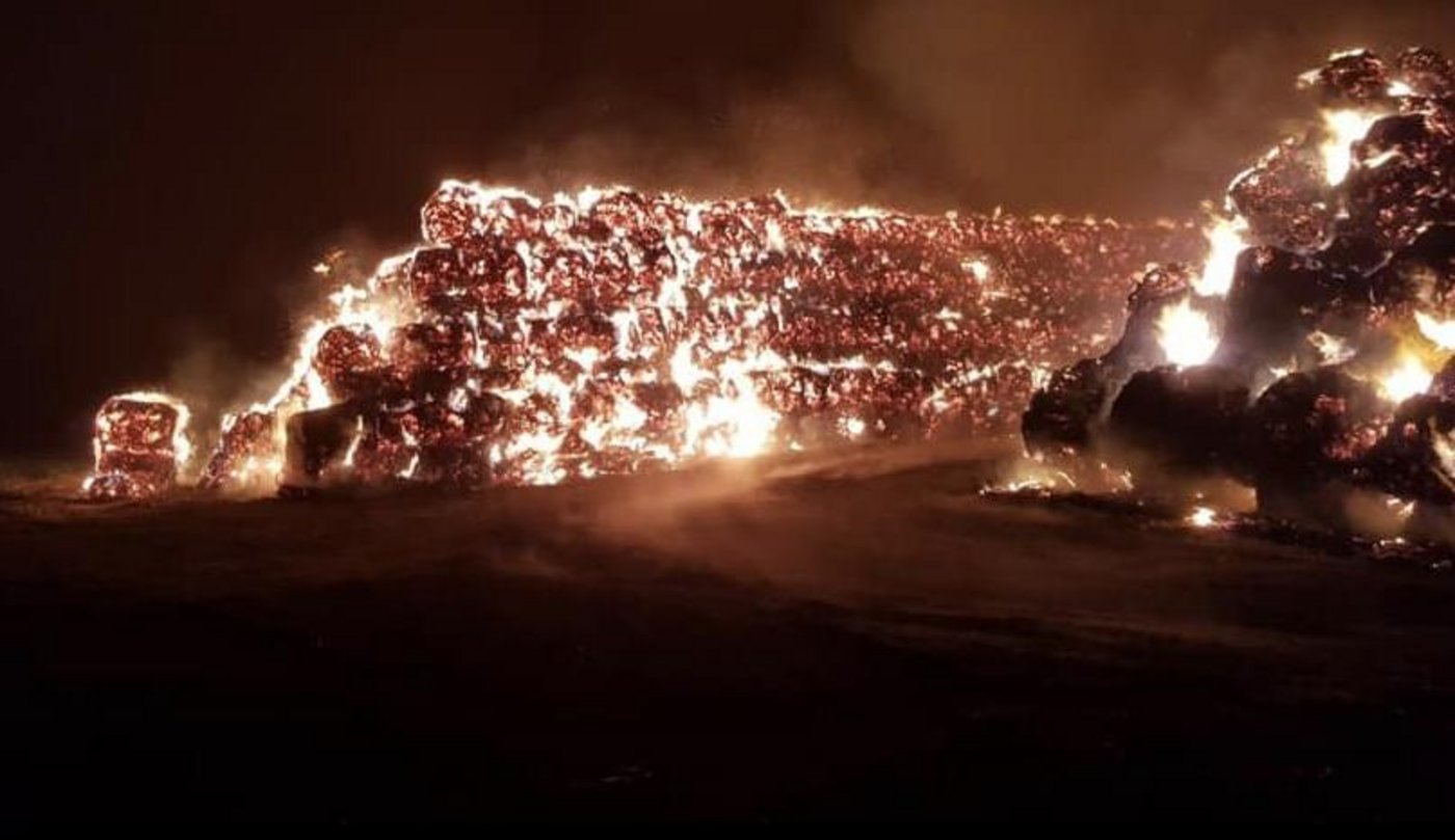 Nach dem Brand vom Heu- und Strohlager hatte der Mastebetrieb kein Stroh für seine 400 Schweine. (Foto Facebook RinderAllianz GmbH)
