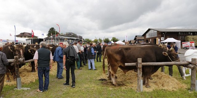 Solche Bilder wird es dieses Jahr nicht zu sehen geben. (Bild lid)