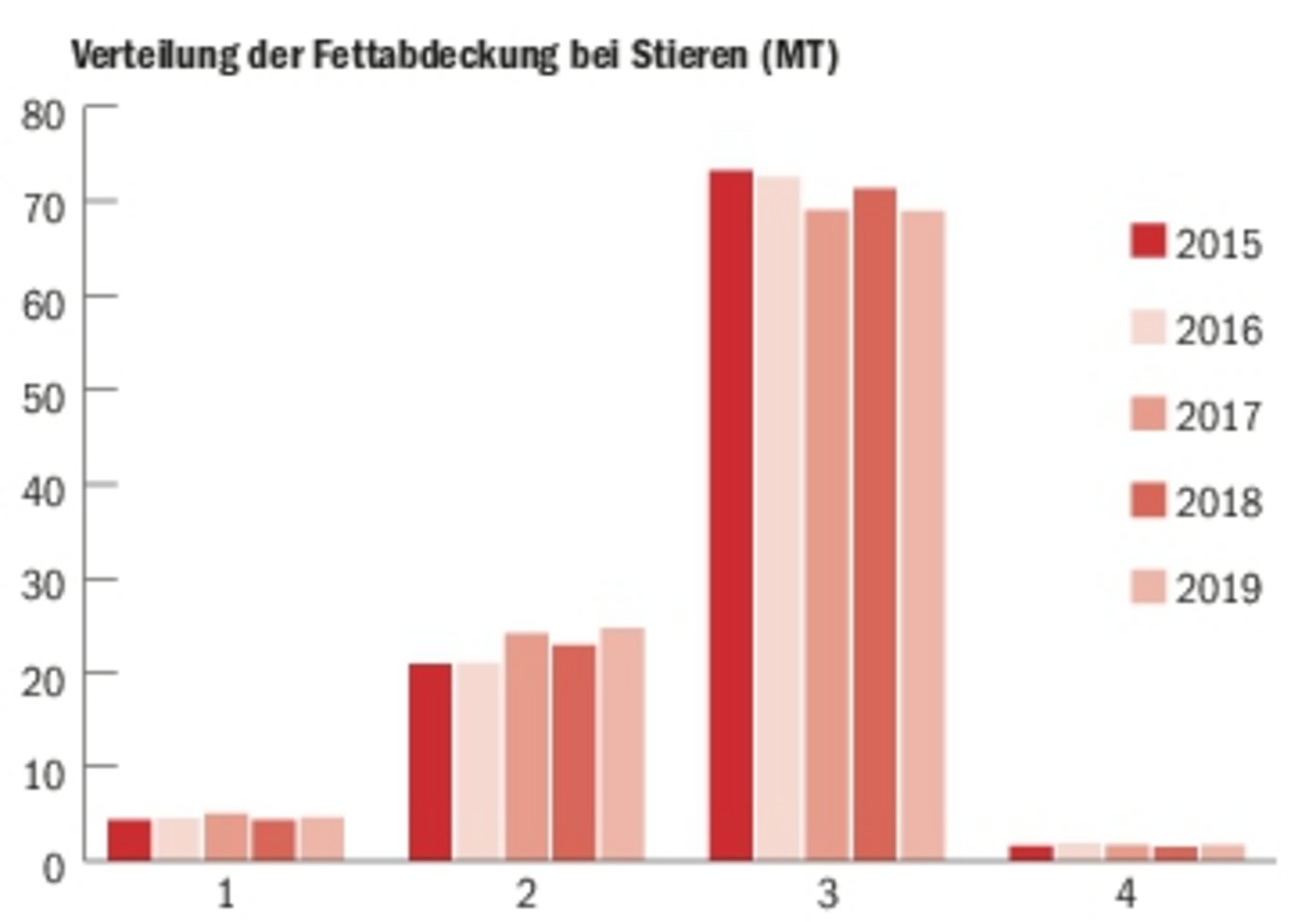Die Fettabdeckung der Schlachtkörper der Stiere verschlechterte sich in den Jahren 2015 bis 2019. (Quelle Proviande)
