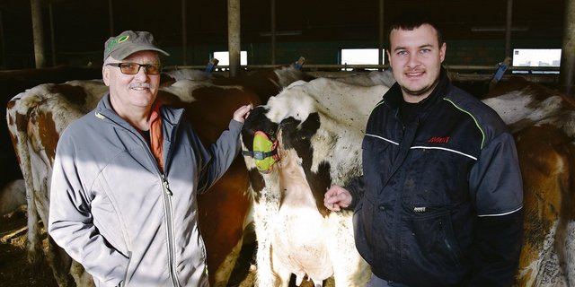 Walter und Sohn Bruno Schütz setzen auf «Moocall». Die Manschette erkennt aufgrund des Bewegungsmusters des Schwanzes, wann die Wehen bei der Kuh einsetzen. (Bilder Katrin Erfurt)