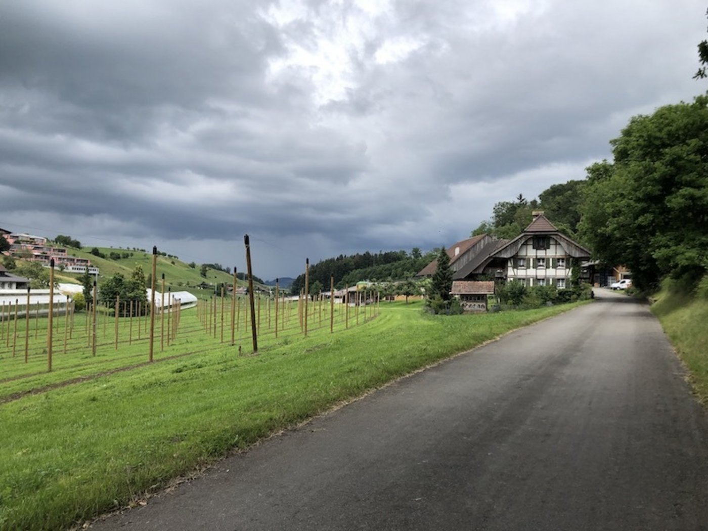 Biohof Messerli. Bei den Holzstangen im Vordergrund soll ein Versuchsobstgarten mit 300 verschiedenen Obstsorten entstehen. (Bild et)