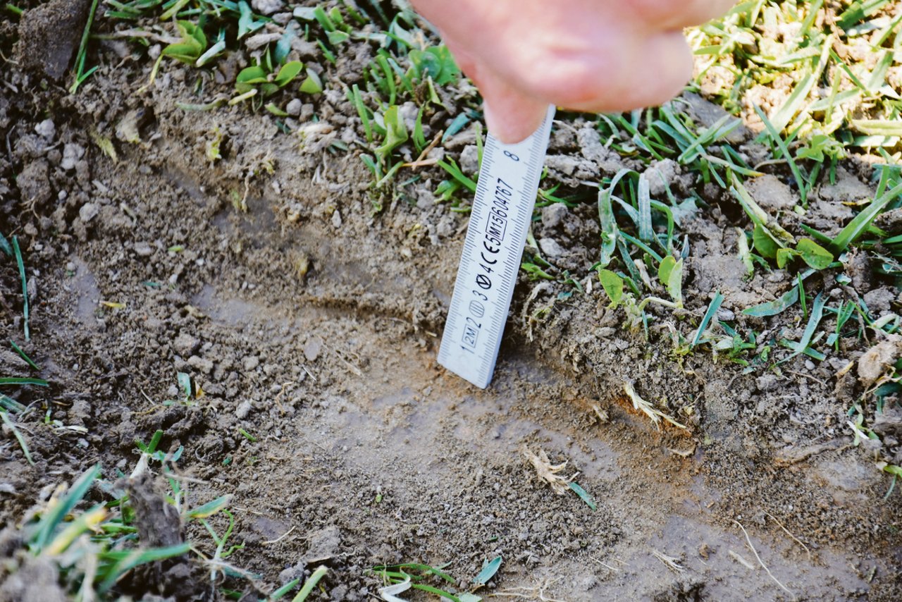Mit der Fräse wird der Boden schonend nur zwei bis drei Zentimeter tief bearbeitet. (Bild Katrin Erfurt)