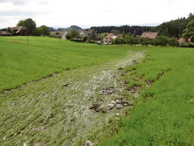 Intensive Gewitter führen oft zu Bodenerosion. Die Karte rechts zeigt die Anomalie des ausfällbaren Wassers gegenüber dem Durchschnitt am vergangenen 16. August. Grüne Flächen bieten mehr ausfällbares Wasser als üblich. (Bild Mobiliar Lab für Naturrisiken, Grafik pd)