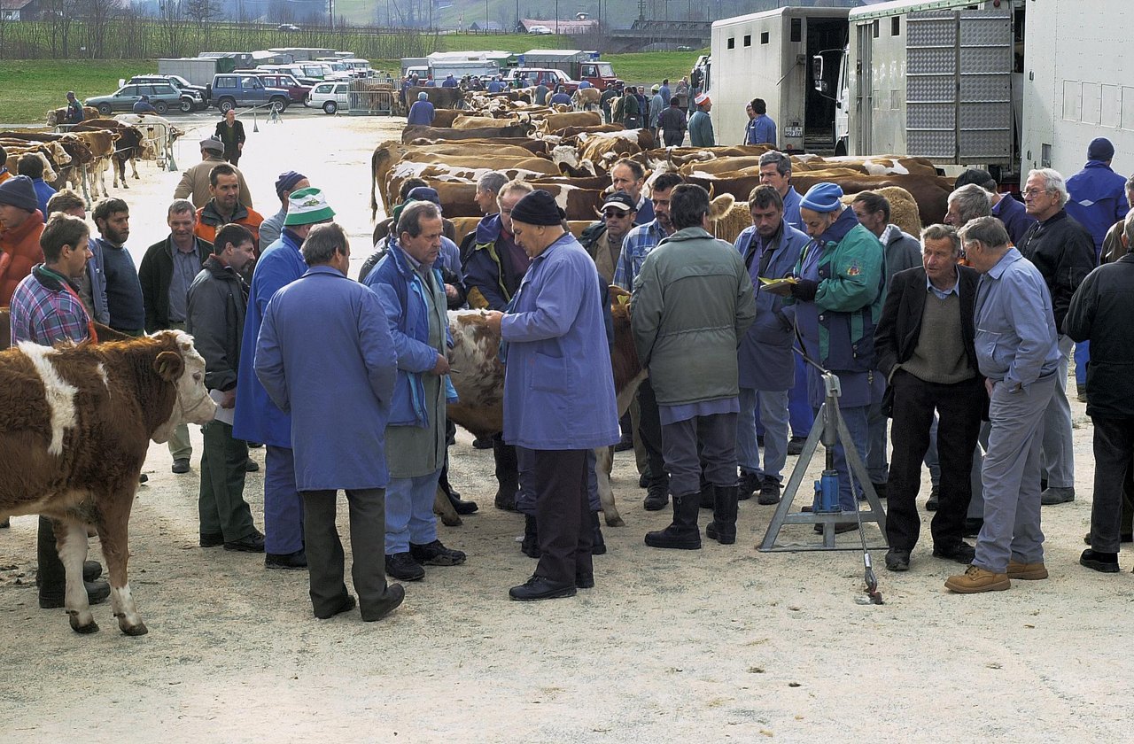 Schlachtviehmärkte sind ab 11. Mai wieder erlaubt. (Bild Archiv)