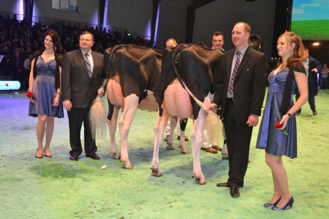 Intermediate Schöneuter (rechts): Cross-Hill Goldwyn Bente, Leo Duss, Doppelschwand / Reserve Intermediate Schöneuter: Atwood Galys-Vray, M. und E. Junker & Thomas Stauf & Al.Be.Ro. Iffwil