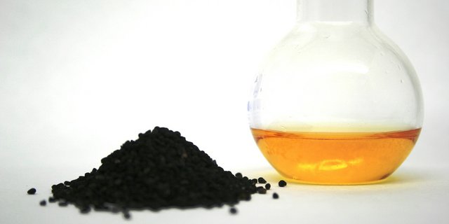 Die ätherischen Öle, die im Schwarzkümmelöl enthalten sind, können von Hunden gut vertragen werden. Bei Katzen ist dies nicht der Fall: Es kann zu Leber- und Nierenschädigungen kommen. (Bild: Pixabay)