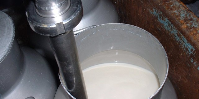 BIG-M und Uniterre kritisieren die gesamte Milchbranche scharf. (Bild BauZ)