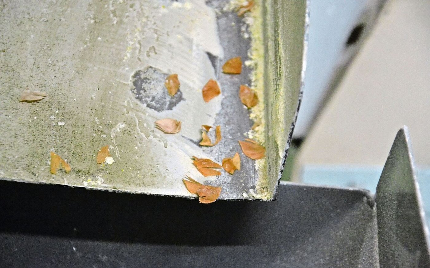 Hier wurde Speisemais gereinigt, übrig bleiben die feinen Häutchen. Beim Reinigen und Sortieren macht man sich die Physik zu nutzen. 