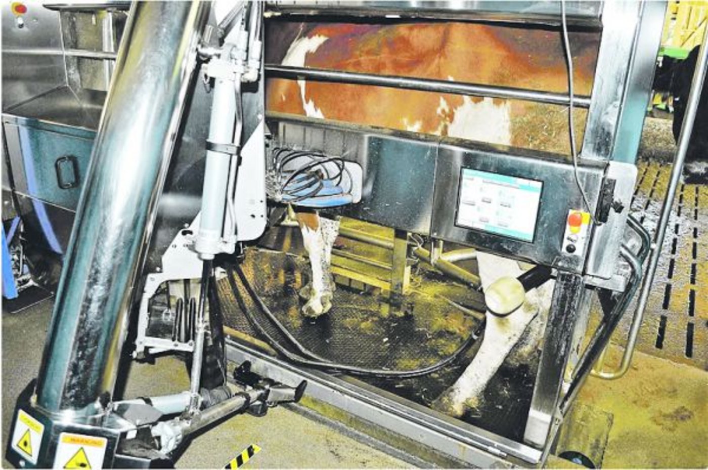 Ein Melkroboter ermöglicht eine geringere Arbeitsbelastung und eine flexiblere Betriebsführung. (Bild zVg)