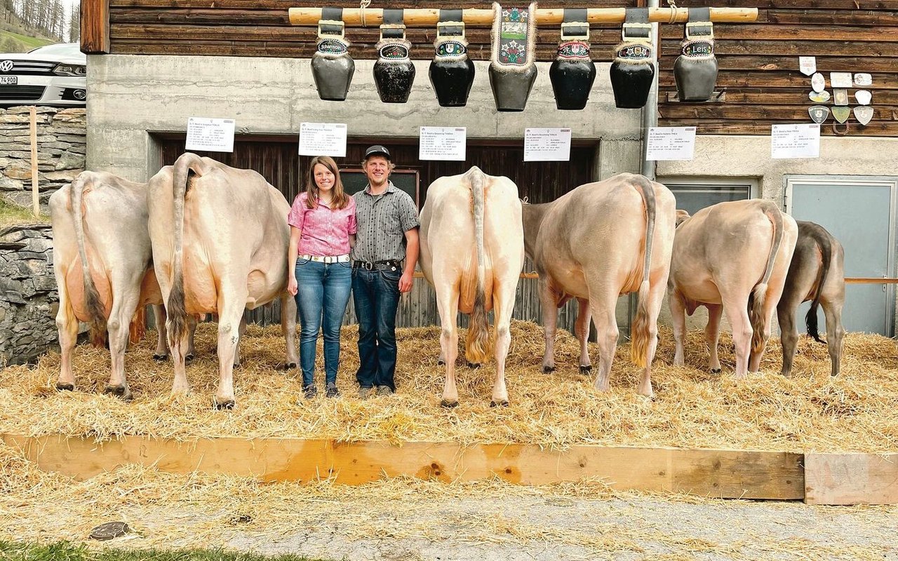 Nun gehören Jasmin und Armin zu den stolzen Viehzüchtern. Hier mit der Zuchtfamilie von G. T. Beelis Jongleur Tonja, die im Frühjahr erfolgreich an der Zuchtviehausstellung teilnahm.