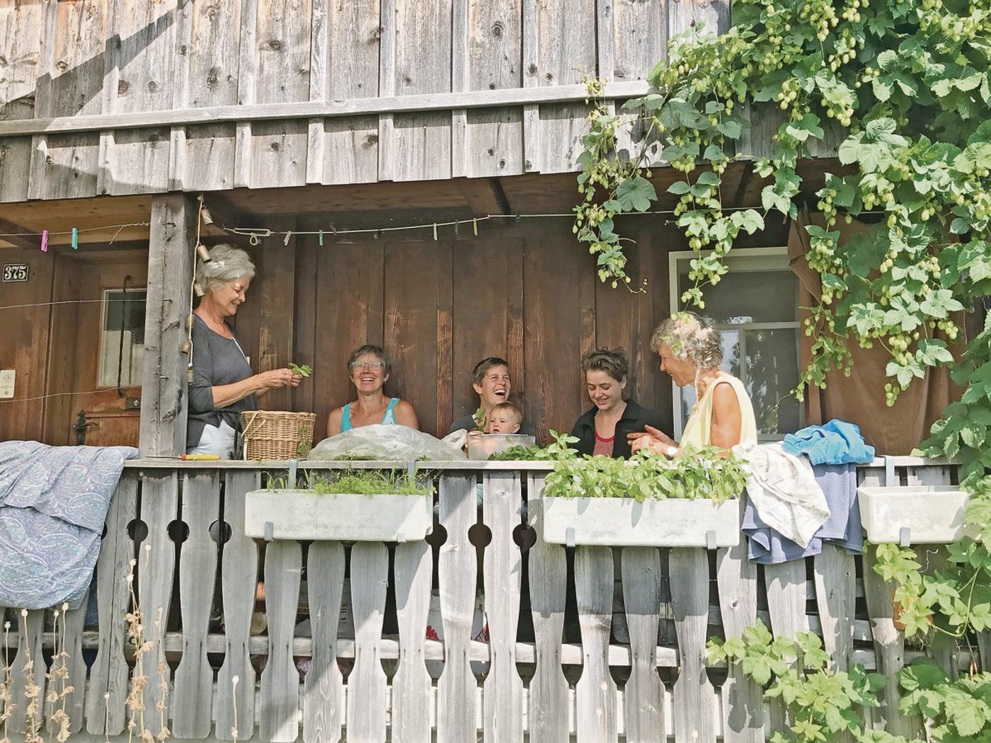Die Kräuterfrauen bei der Arbeit: Christa Peterli (treue Sommerhilfe), Birgit Kratt, Nathalie Graf mit Klein-Marie, Nadia Geiser (Praktikantin), Christa Wellauer (treue Sommerhilfe).(Bilder Alexandra Stückelberger)