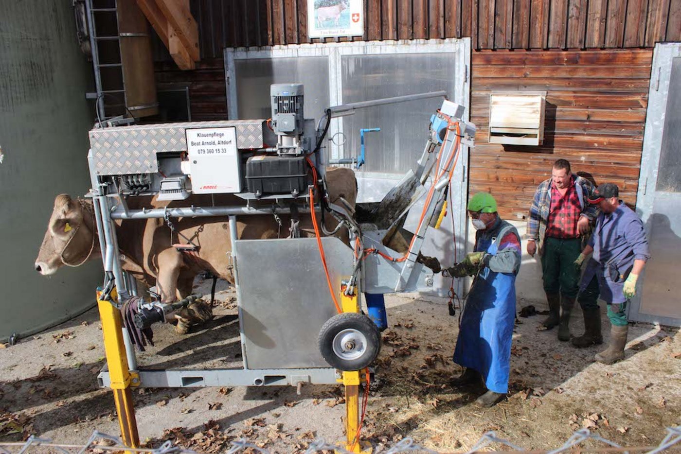 Beat Arnold bei der «digitalen» Klauenpflege auf einem Betrieb. (Bild zVg)