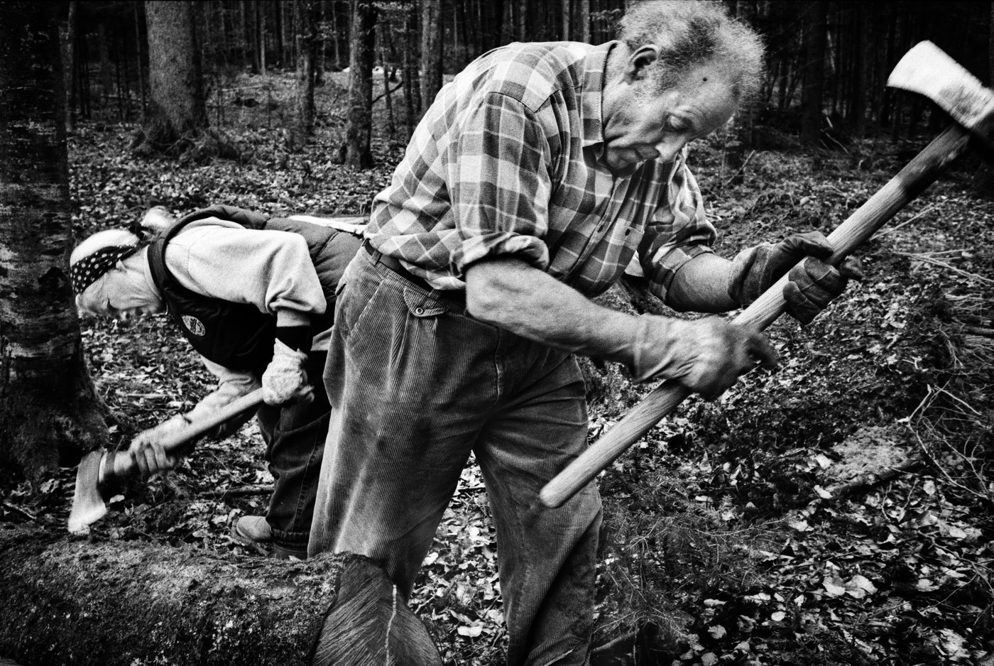 Gemeinsamer Einsatz im Wald. (Bild Tomas Wüthrich)