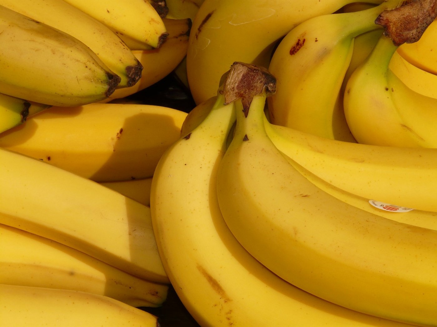 Bei den Bananen ist dringend eine grössere Sortenvielfalt vonnöten. (Bild Pixabay)