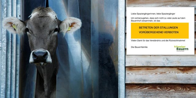 Befestigen Sie das Plakat gut sichtbar am Eingang des Stalles. (Bild lid)