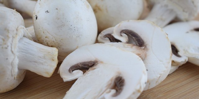 Champignons sind reich an Vitamin B2/Riboflavin, Vitamin B5/Pantothensäure und Vitamin D. (Bild pixabay)
