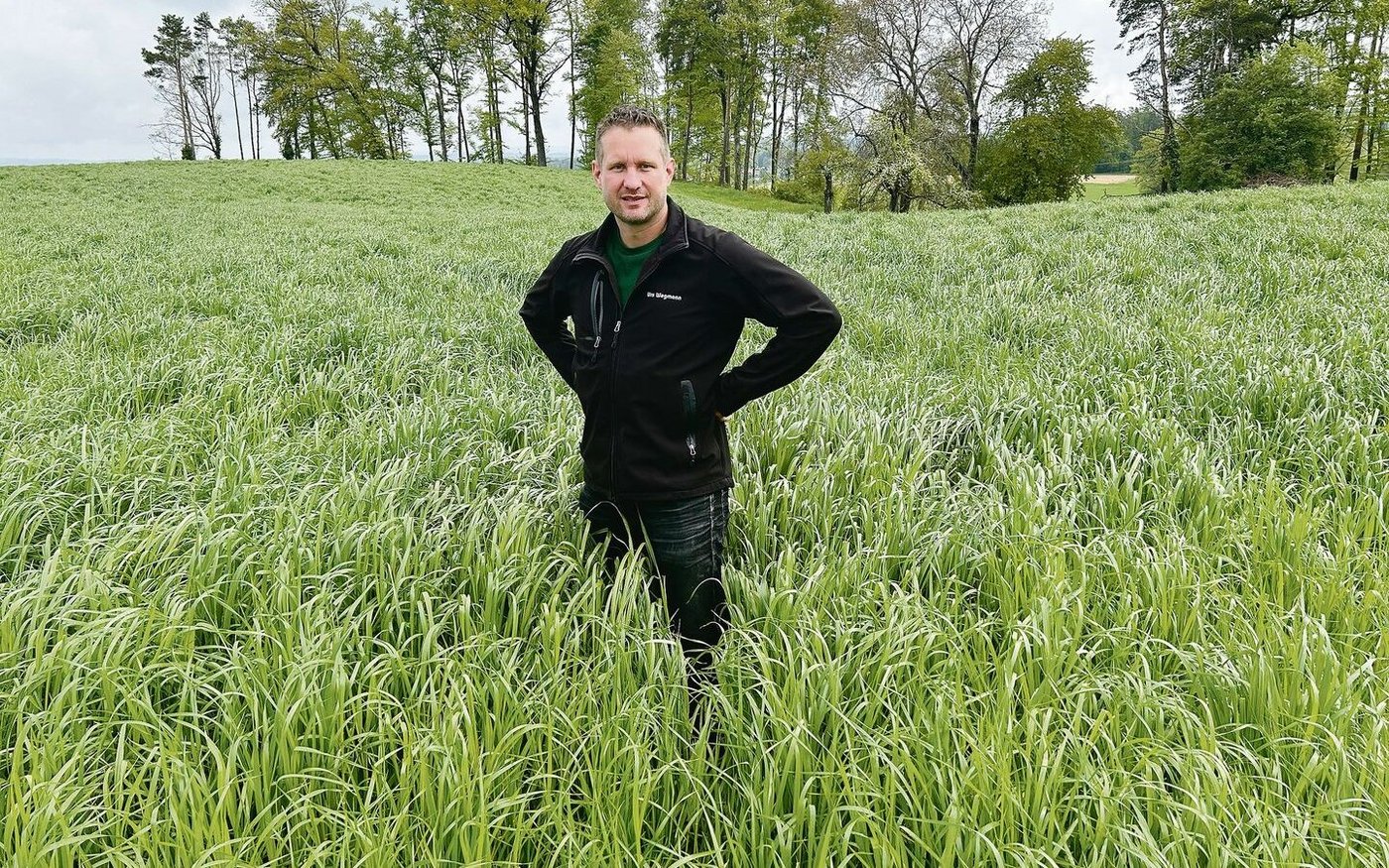 Diese Kunstwiese hat Landwirt Urs Wegmann mit Mulchsaat eingesät. Das gilt aber nicht für den Produktionssystembeitrag für die schonende Bodenbearbeitung. 
